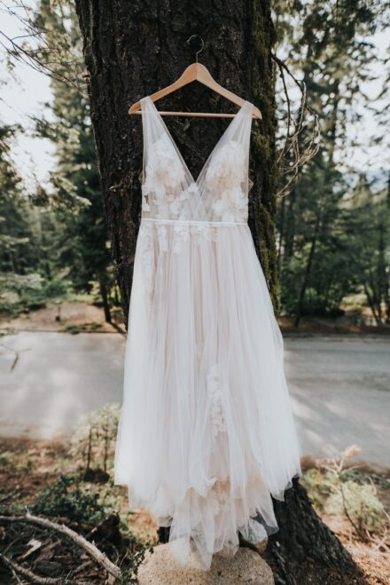 Allison's tulle wedding dress hanging on a pine tree, the sun shining in the corner.