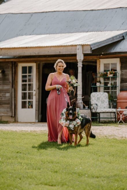 The maid of honor in a dusty pink dress walking the second German Shepherd down the aisle.