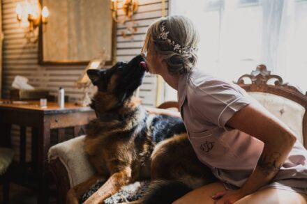 Reggie the German Shepherd licking Sarah on the nose in the bride's getting ready suite.