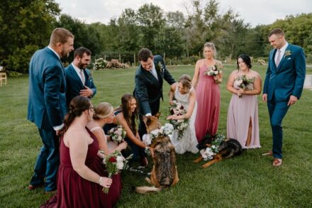 The wedding party sitting and standing on the grass, petting the couple's german shepherds.