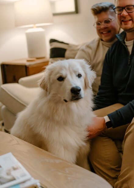 A close up of a Great Pyrenees with his owners sitting on a couch behind him.