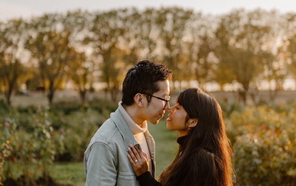 An engagement session in the Lyndale Rose Garden at sunset. The couple is facing each other with their noses pressed together.