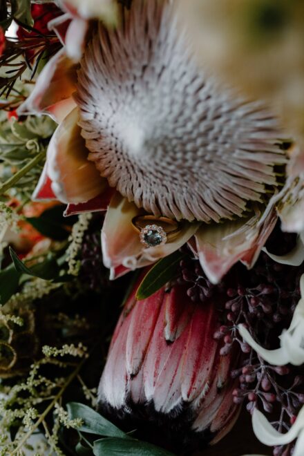 An engagement ring sitting on a petal of a protea flower.