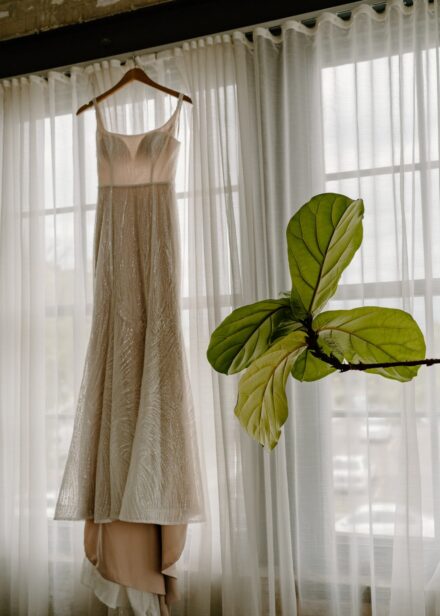 A glittery wedding dress hanging in a window, silhouetted by the sun next to a fiddle leaf fig.
