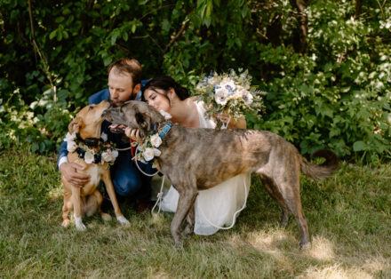 The bride and groom kneel down on the ground to give their dogs some kisses.